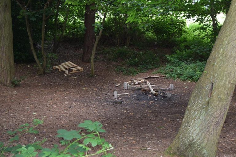 Site 1-3 – Rhydd Covert Scout Campsite