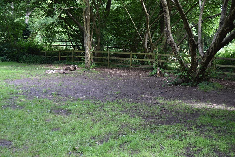 Site 4-2 – Rhydd Covert Scout Campsite